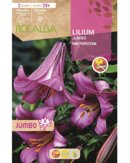 ROCA JUMBO PINK PERFECTION...