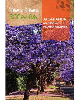 ROCA JACARANDA FNFC6685