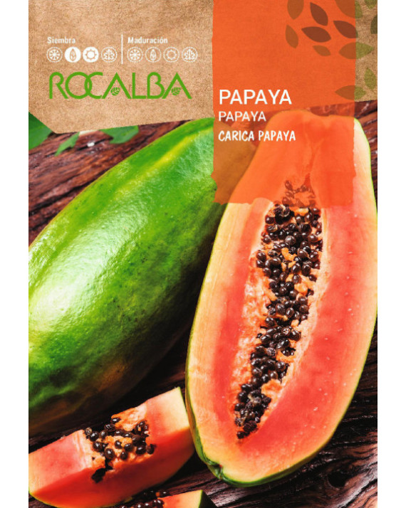 ROCA PAPAYA CARICA FNFC6715