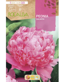 ROCA PEONIAS SALMON BOLSA...