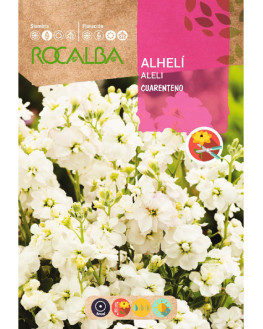 ROCA ALHELI CUARENTENO...