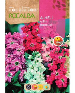 ROCA ALHELI CUARENTENO...