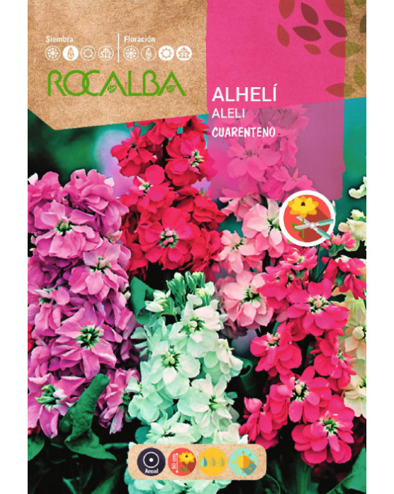 ROCA ALHELI CUARENTENO ANULA DOBLE...