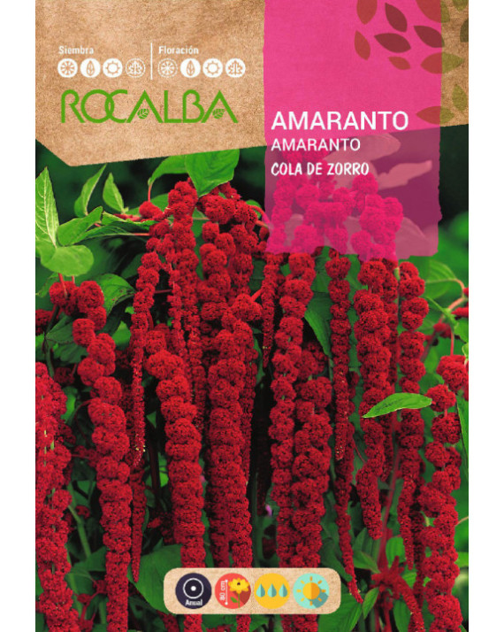 ROCA AMARANTO COLA DE ZORRO BOLSA...