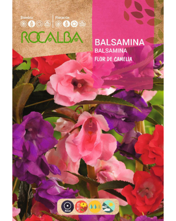 ROCA BALSAMINA FLOR DE CAMELIA  FNFG6905