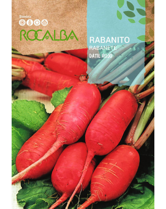 ROCA RABANITO DATIL ROJO SHBN1260