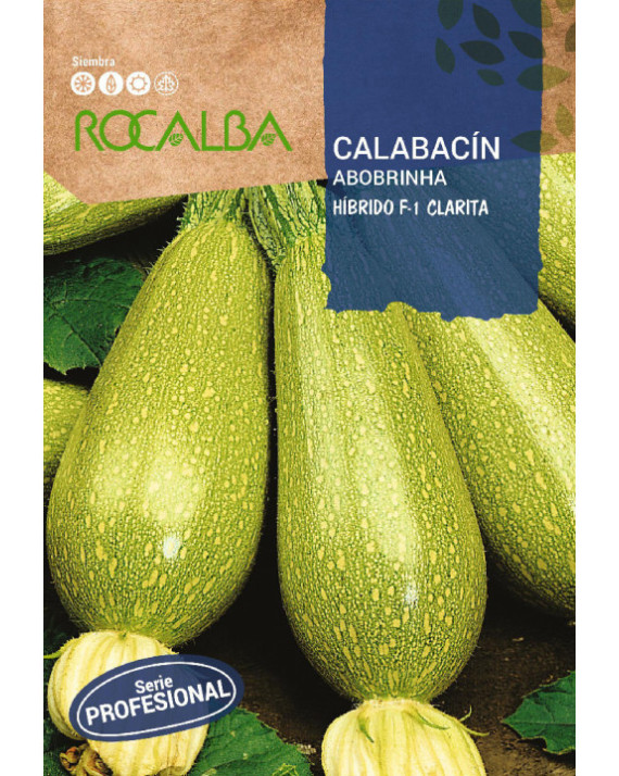 ROCA CALABACIN CLARITA BOLSA SHBP0240