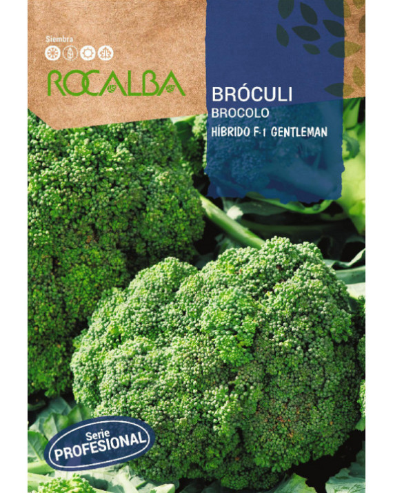ROCA BROCULI GENTLEMAN F1 SHBP0196