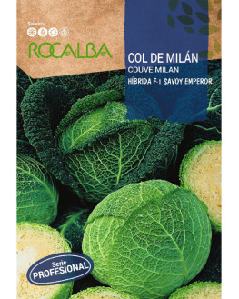 ROCA COL MILAN SAVOY...