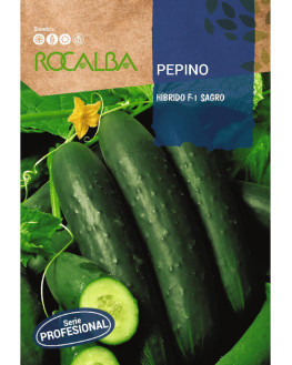 ROCA PEPINO SAGRO BOLSA...