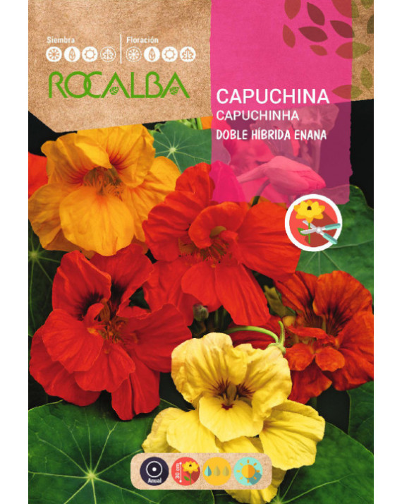 ROCA CAPUCHINA DOBLE HIB. ENANA...