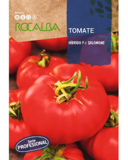 ROCA TOMATE SALOMONE SHBP1507