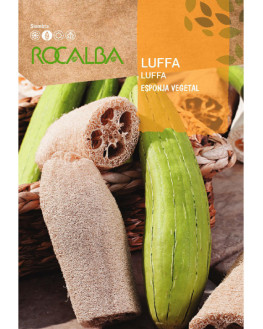 ROCA CALABAZA LUFFA ESPONJA...