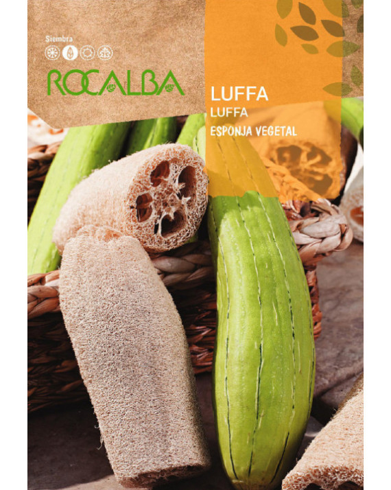 ROCA CALABAZA LUFFA ESPONJA VEGETAL...
