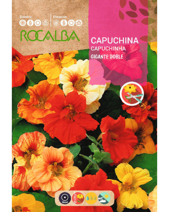 ROCA CAPUCHINA  GIGANTE DOBLE...