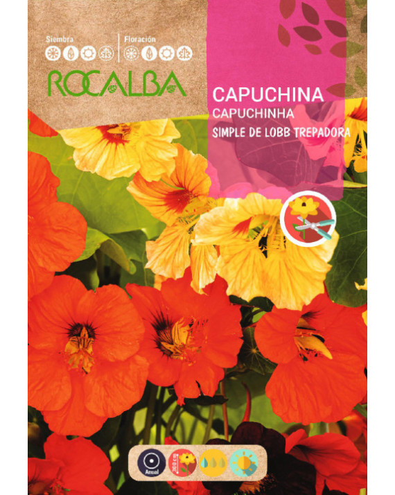 ROCA CAPUCHINA SIMPLE DE LORB...