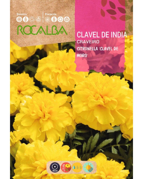 ROCA CLAVEL DE INDIA CITRON DOBLE...