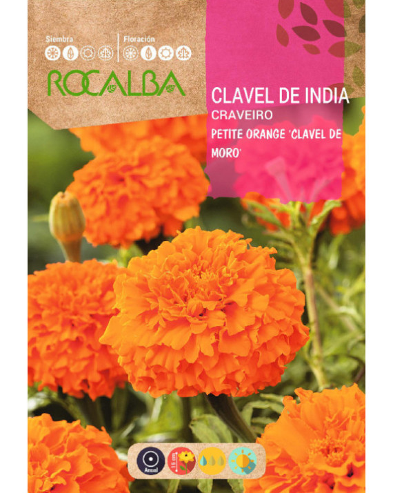 ROCA CLAVEL DE LA INDIA PETITE ORAN...