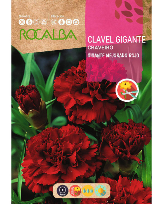 ROCA CLAVEL GIGANTE MEJORADO ROJO...