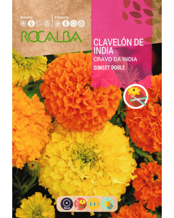 ROCA CLAVELON ROSA INDIA GRANDE VAR...