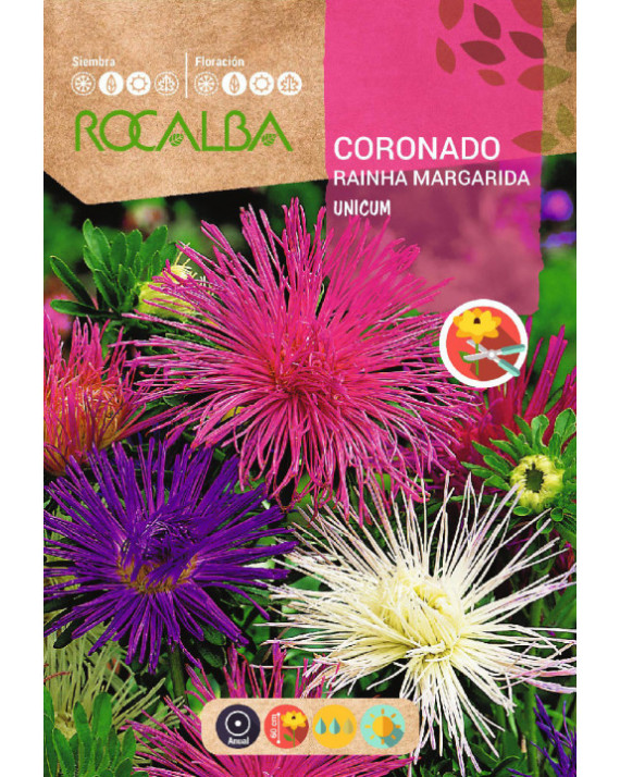 ROCA CORONADO INICUM VARIADO