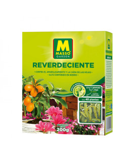 REVERDECIENTE 200 GR MASSO...