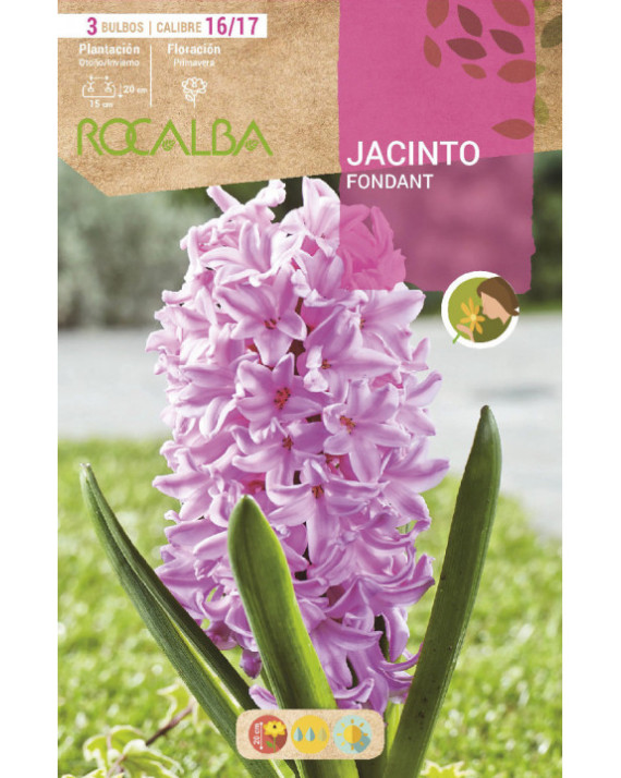 ROCA FONDANT ROSA CLARO EBJN5460