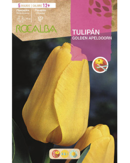 GOLDEN APELDOORN AMARILLO...