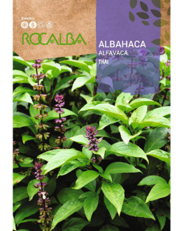 ROCA ALBAHACA THAI FNAM7802