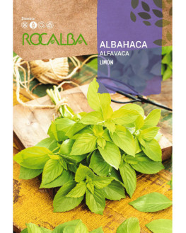 ROCA ALBAHACA LIMON FNAM7804