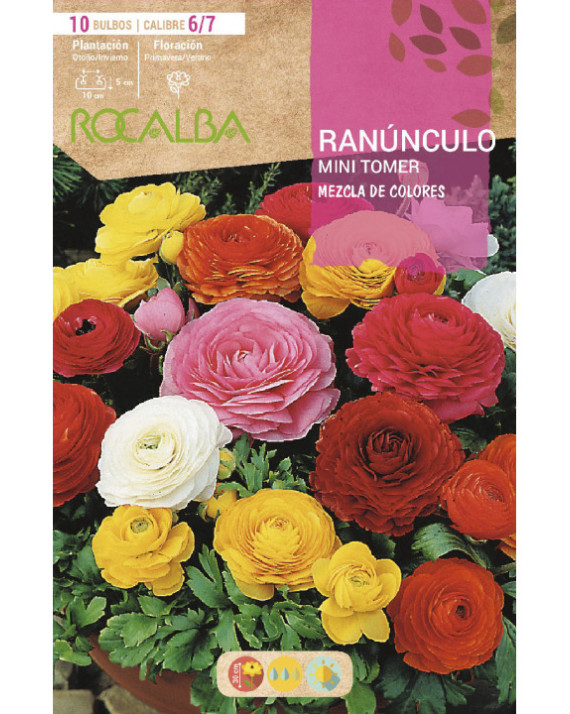 ROCA RANUNCULOS MINI TORRE DE COLOR